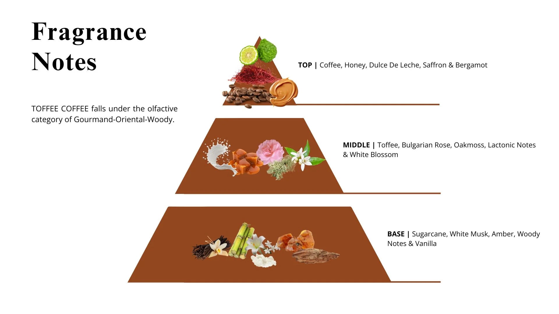 ODYSSEY TOFFE COFFEE - 100ML - EAU DE PARFUM - ARMAF