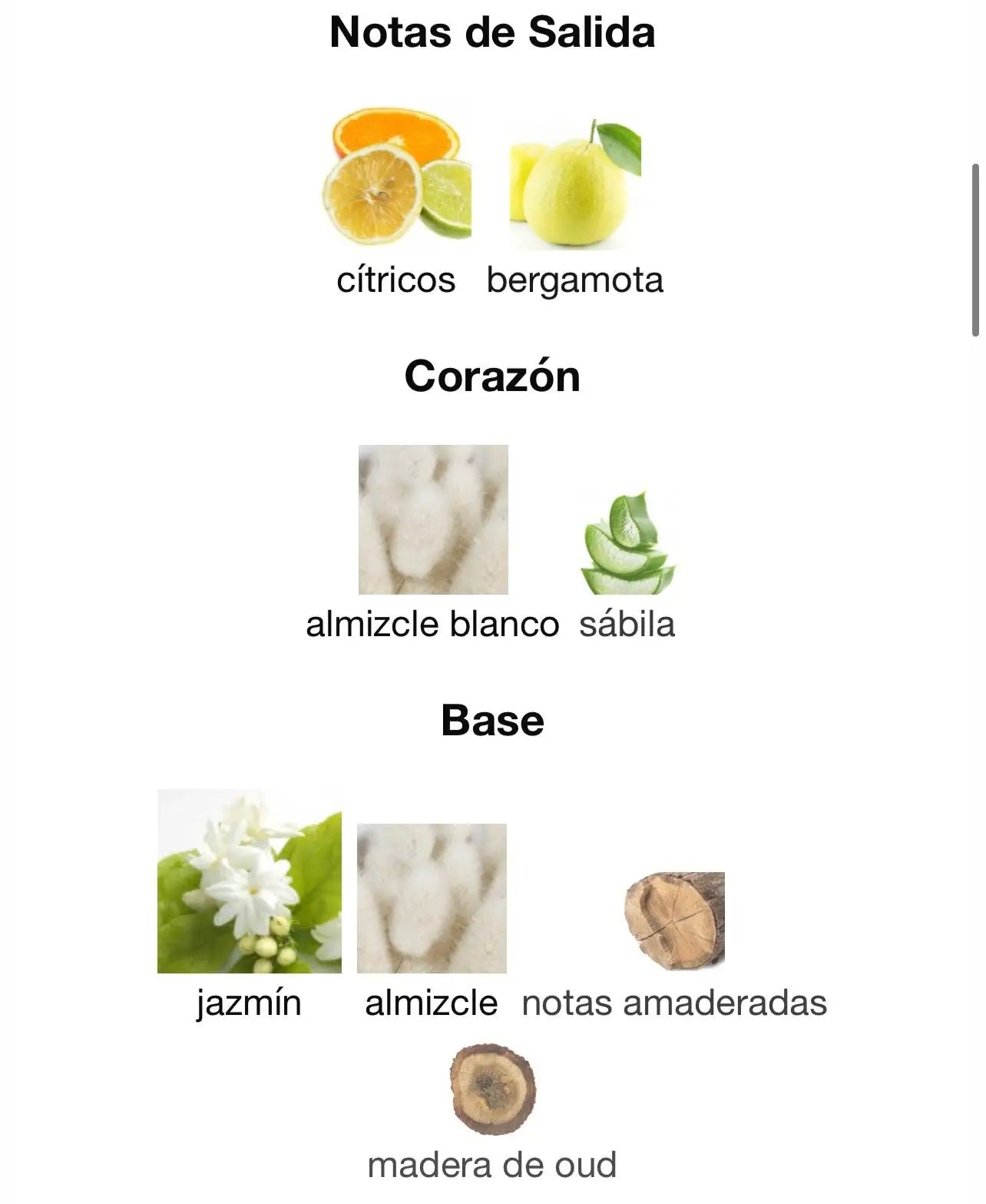 PERFUME AMEERAT ALARAB – 100ML - Lattafa