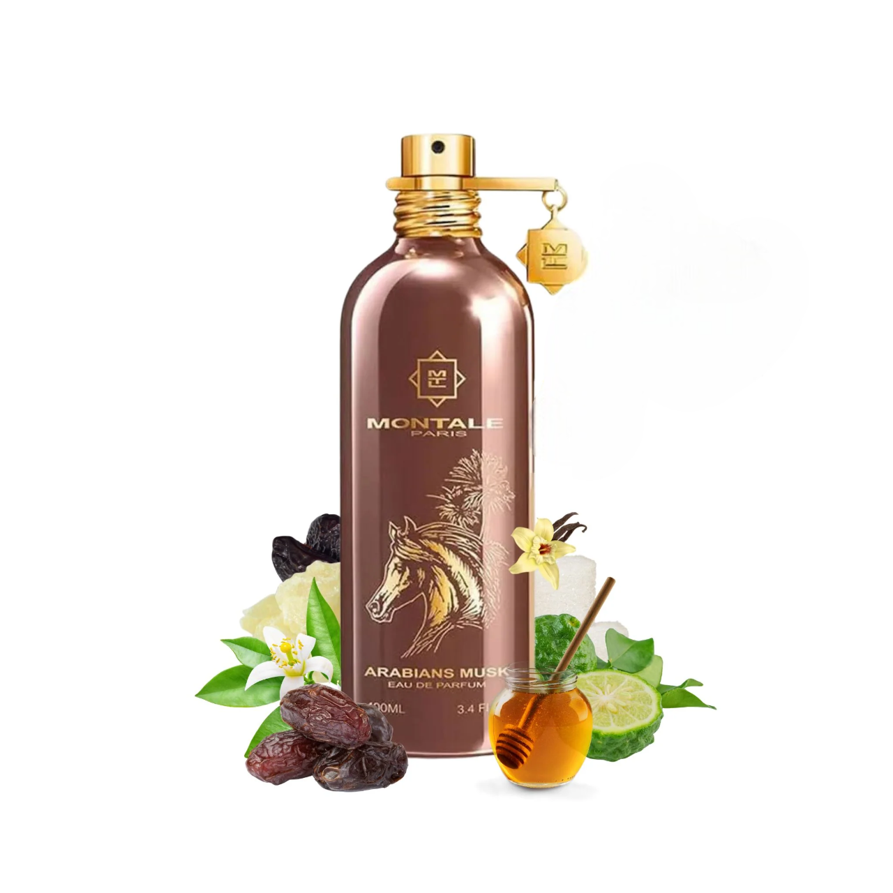 ARABIANS MUSK - 100ML - EAU DE PARFUM - MONTALE PARIS