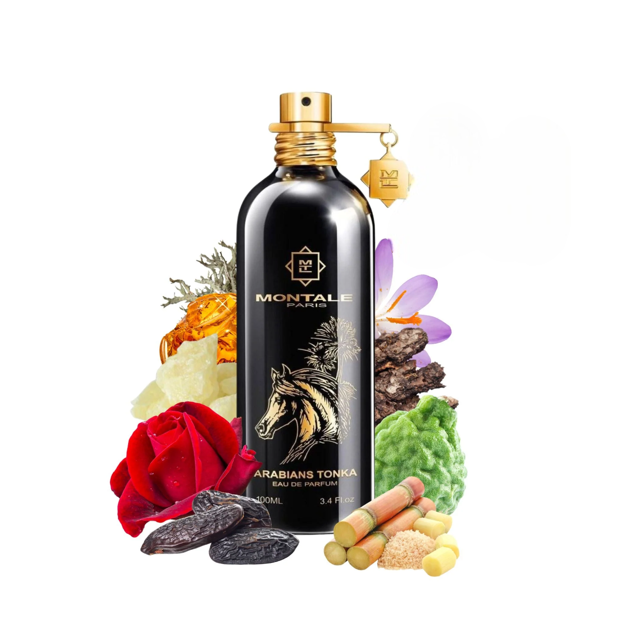 ARABIANS TONKA - 100ML - EAU DE PARFUM - MONTALE PARIS