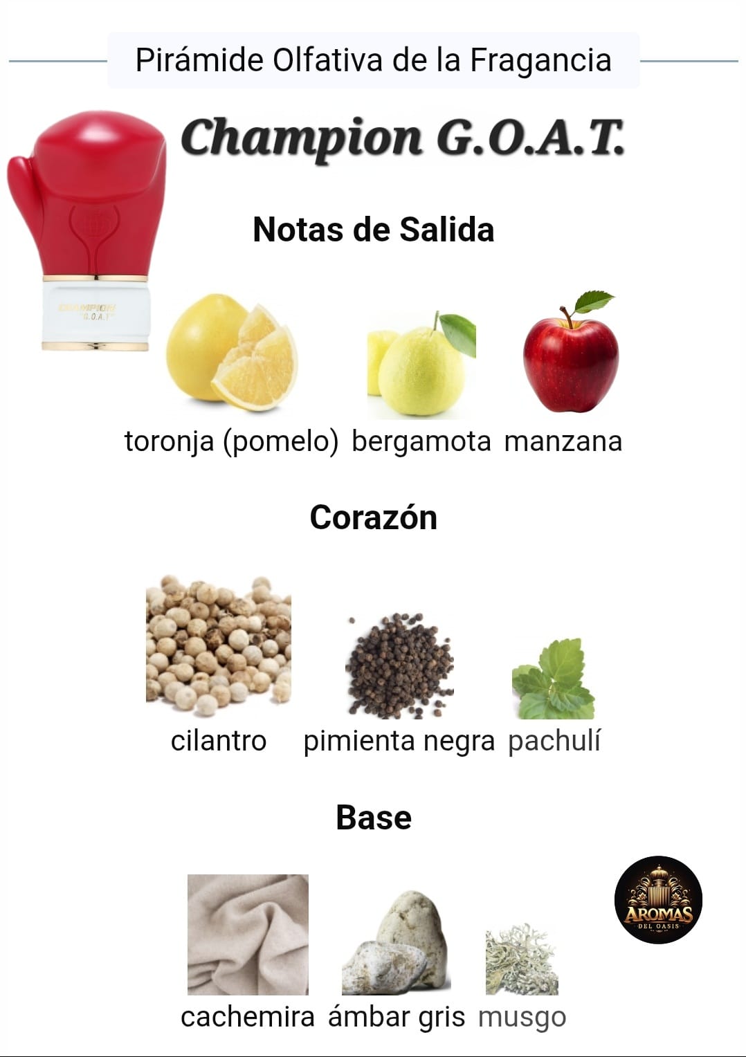 CHAMPION G.O.A.T. - 100ML - Fragrance World