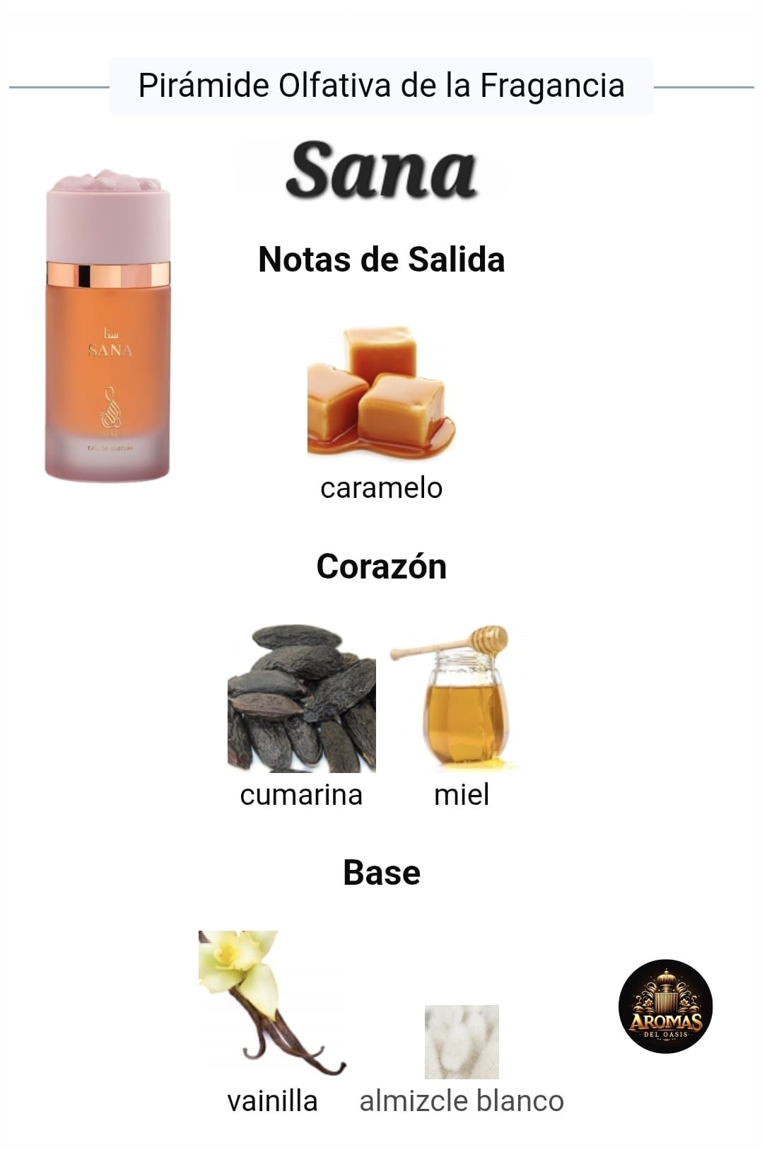 SANA - 100ML - Risala