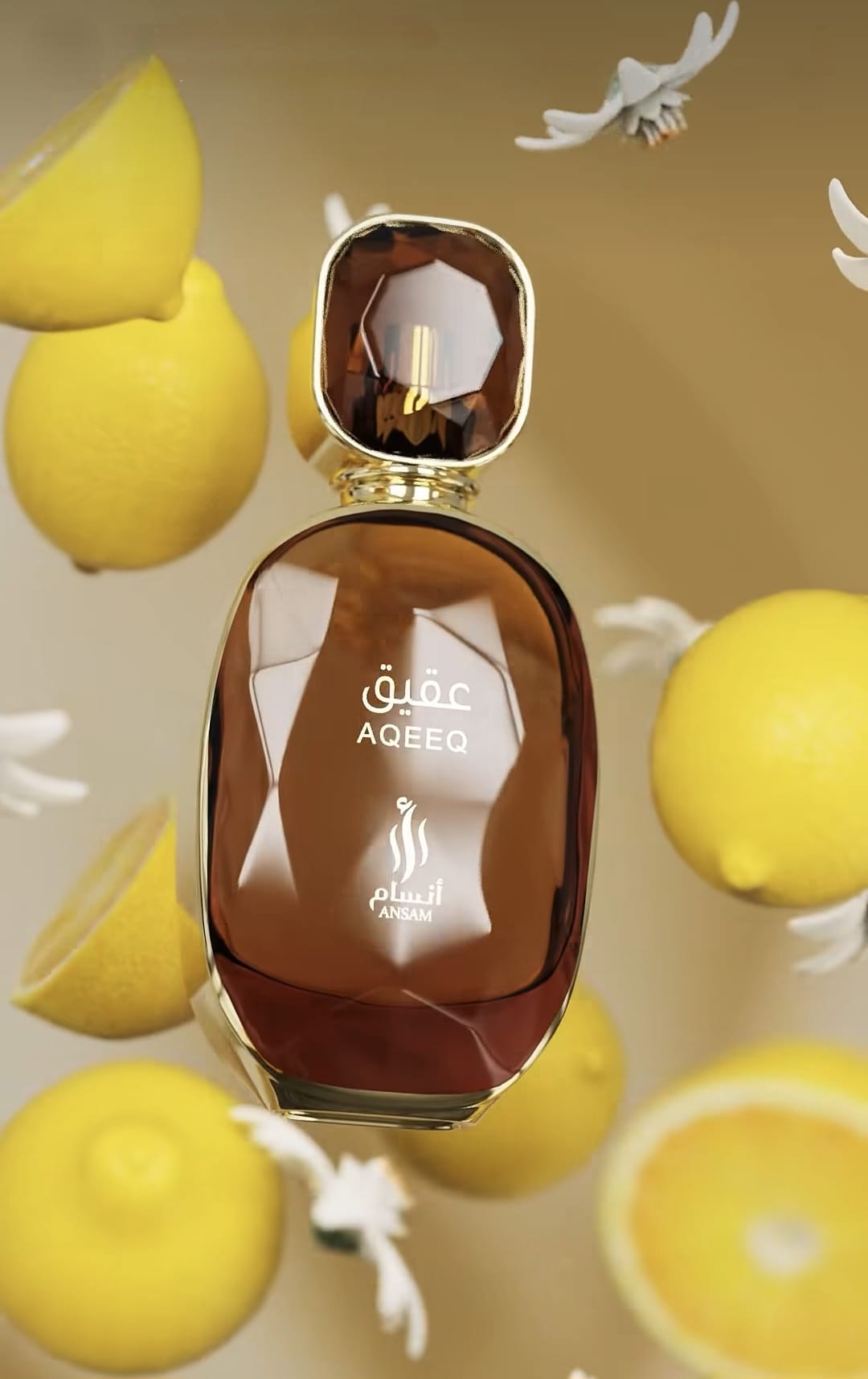 AQEEQ - EXTRACTO DE PERFUME - 100ML - ANSAM