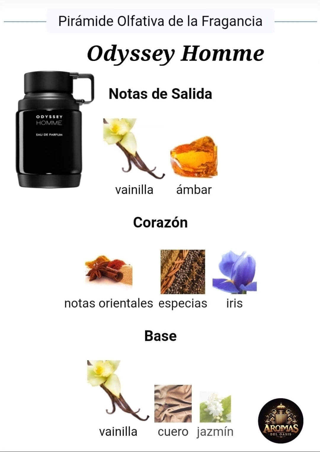 ODYSSEY HOMME - 100ML - Armaf