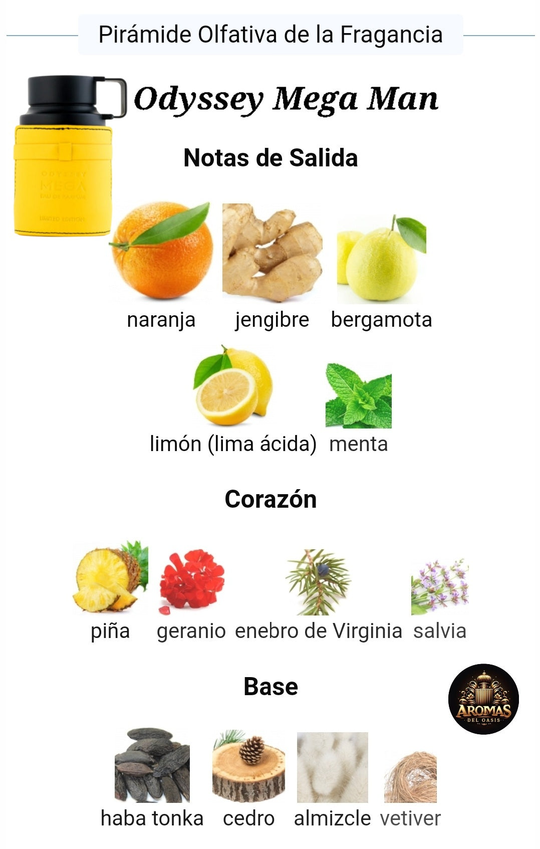 ODYSSEY MEGA - 100ML - Armaf