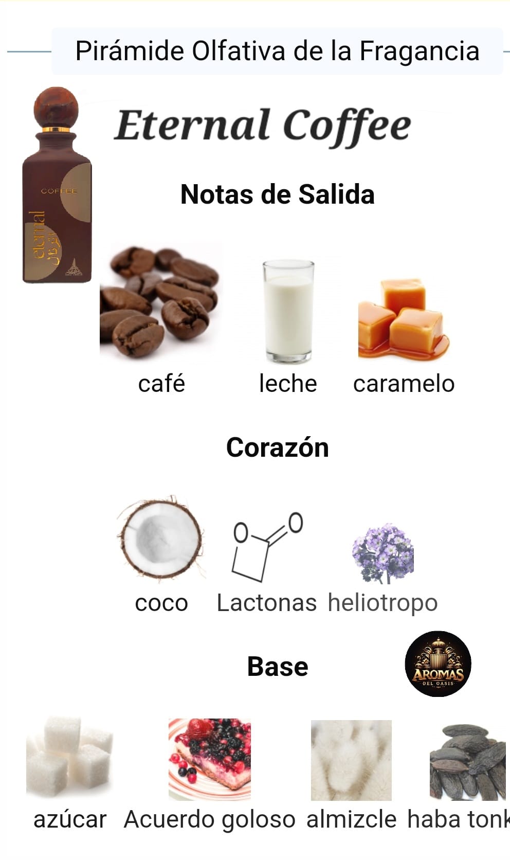 ETERNAL COFFEE - 100ML - Paris Corner