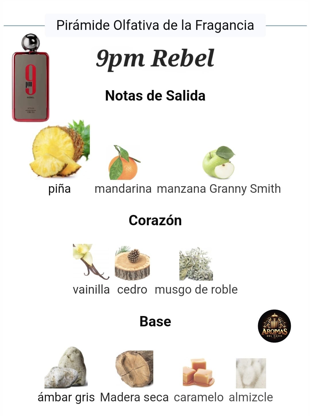 9PM REBEL - 100ML - AFNAN
