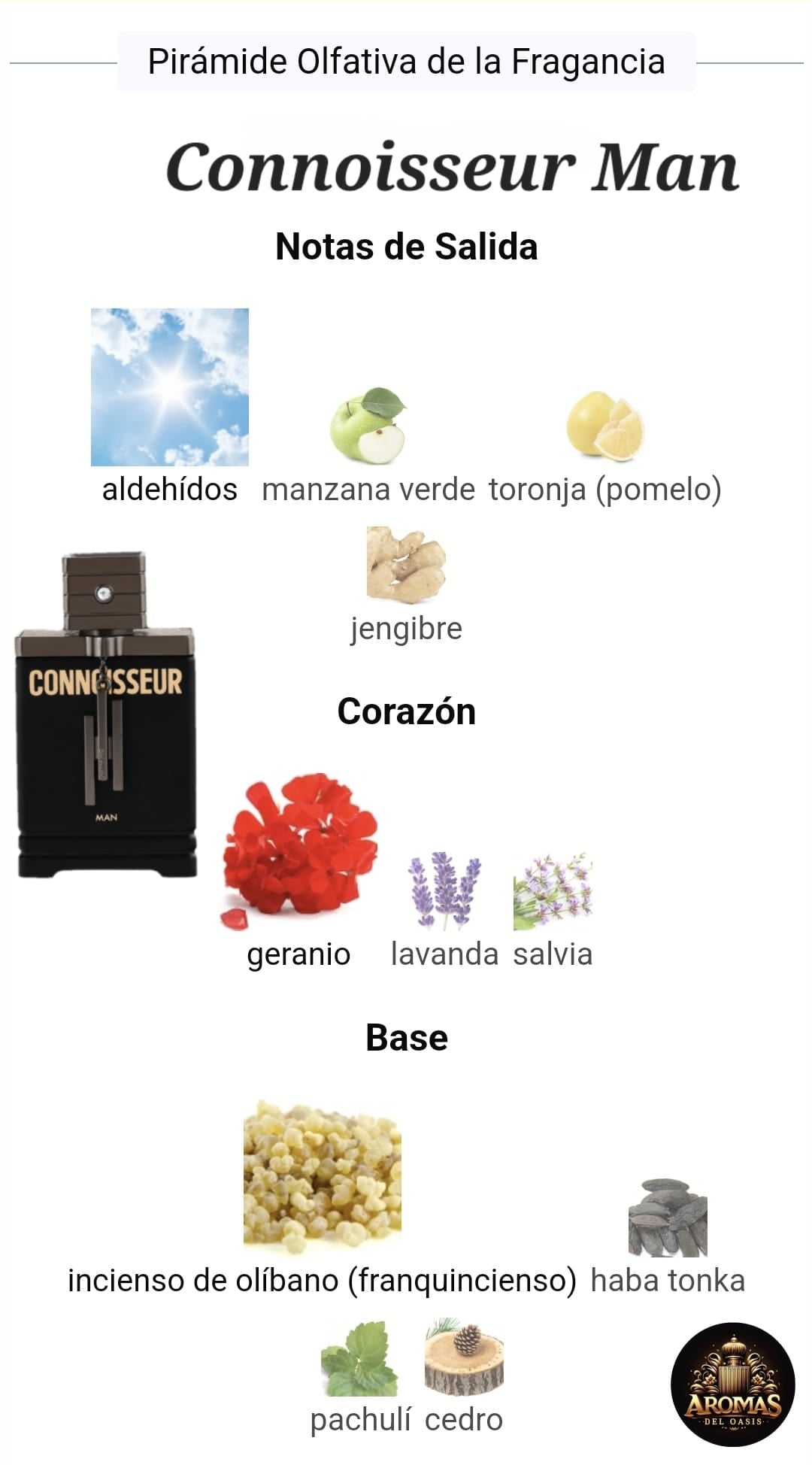 CONNOISSEUR MAN - 100ML - ARMAF