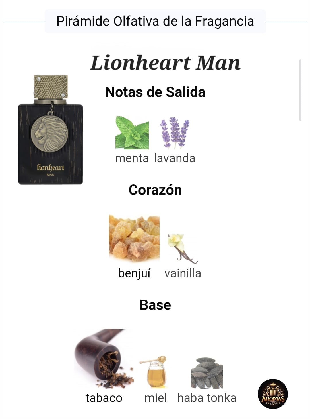 LIONHEART MAN - 100ML - ARMAF
