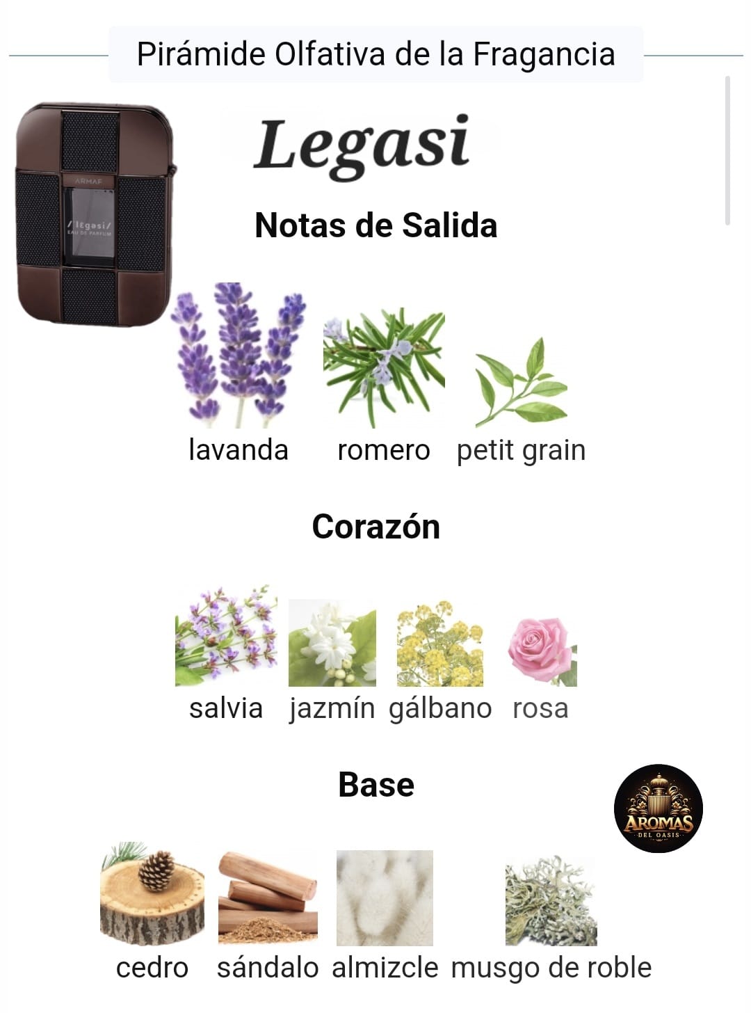 LEGASI - 100ML - ARMAF