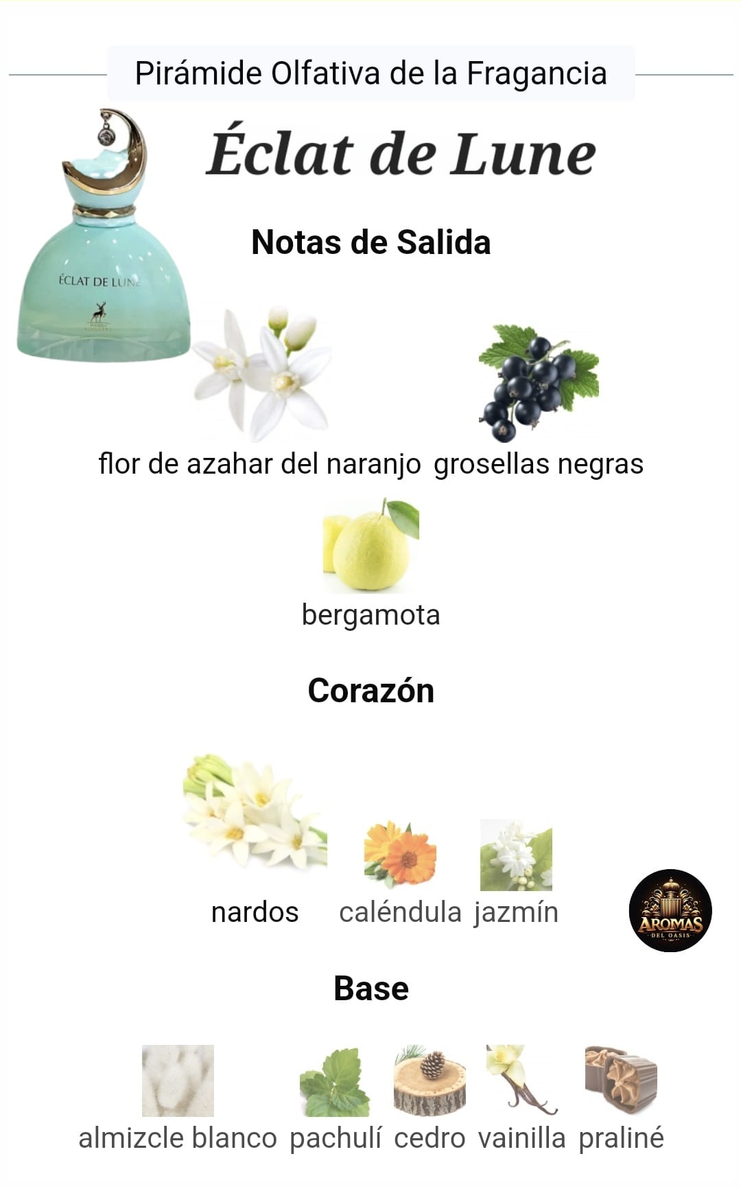 ÉCLAT DE LUNE - 100ml - Maison Alhambra