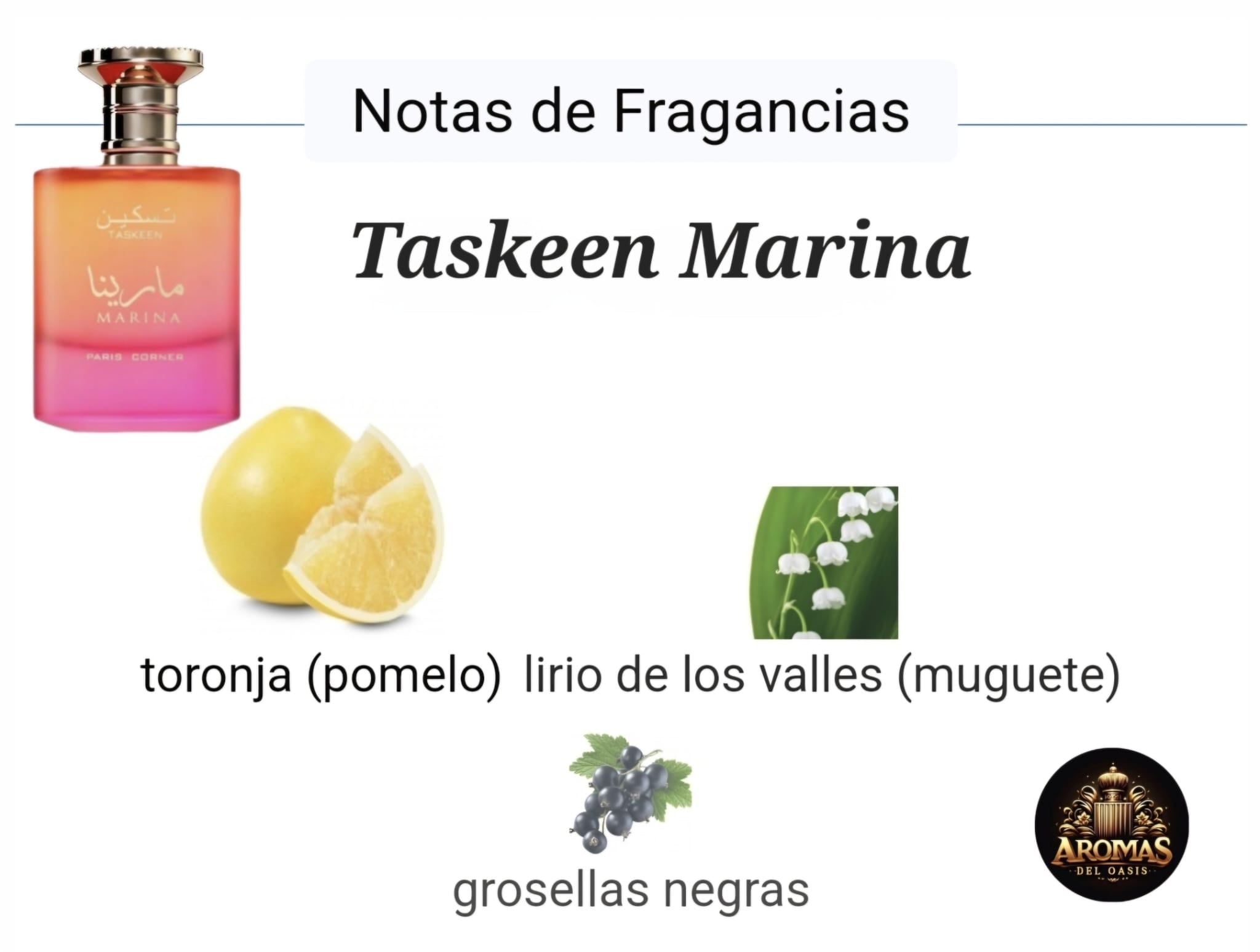 TASKEEN MARINA - 100ML - Paris Corner