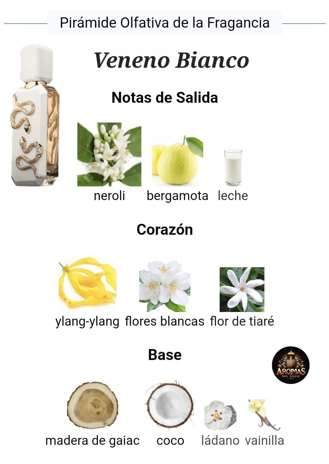 VENENO BIANCO - 100ML - French Avenue