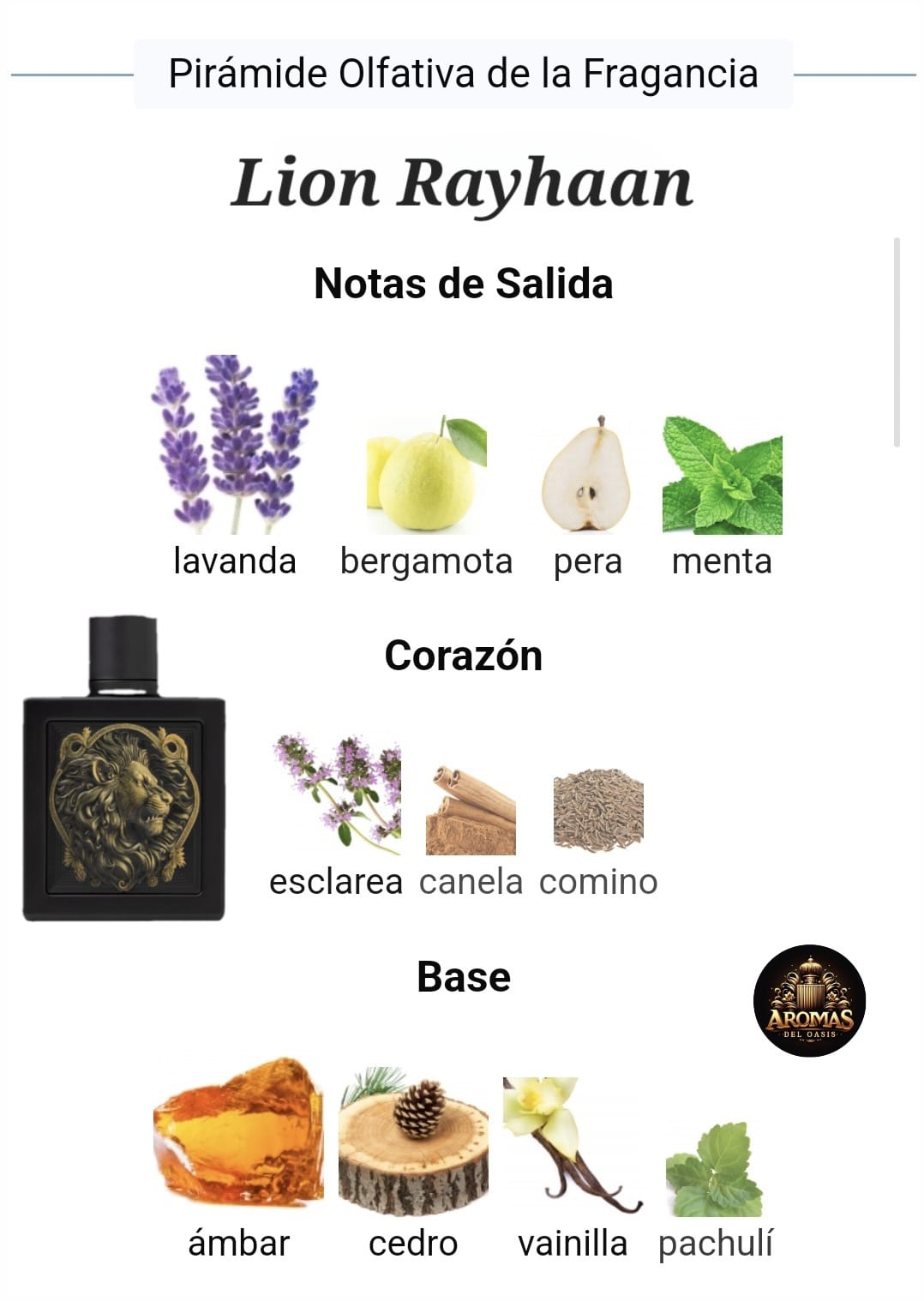 LION RAYHAAN - 100ML - Rayhaan