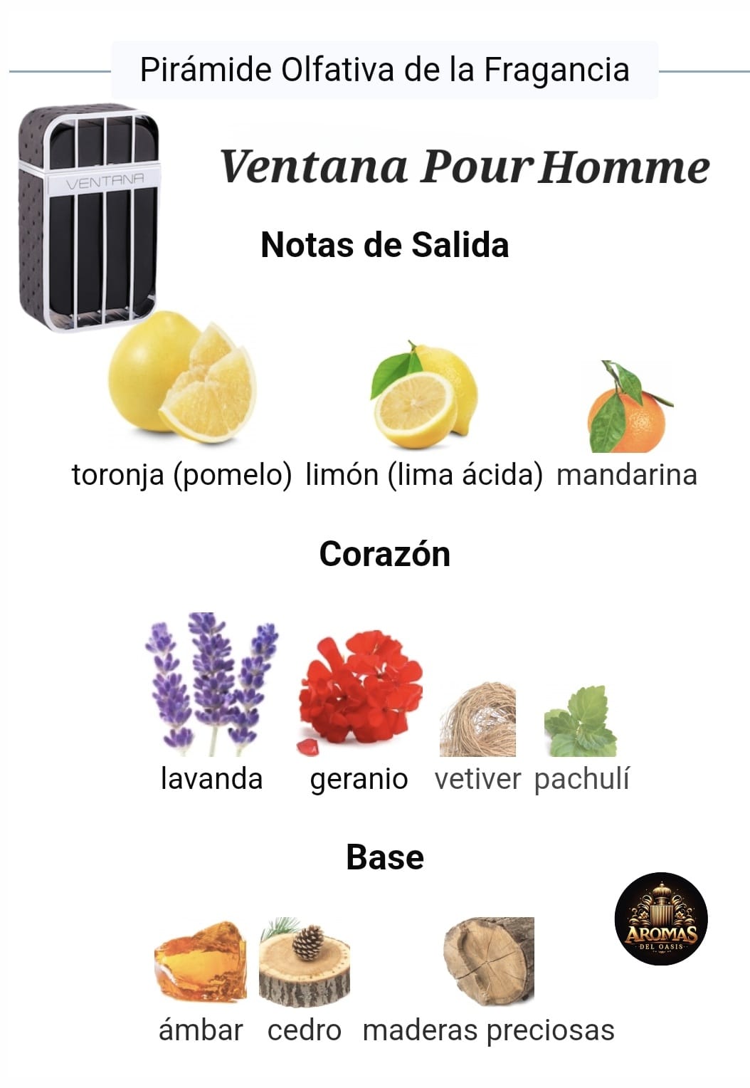 VENTANA POUR HOMME - 100ML - Armaf