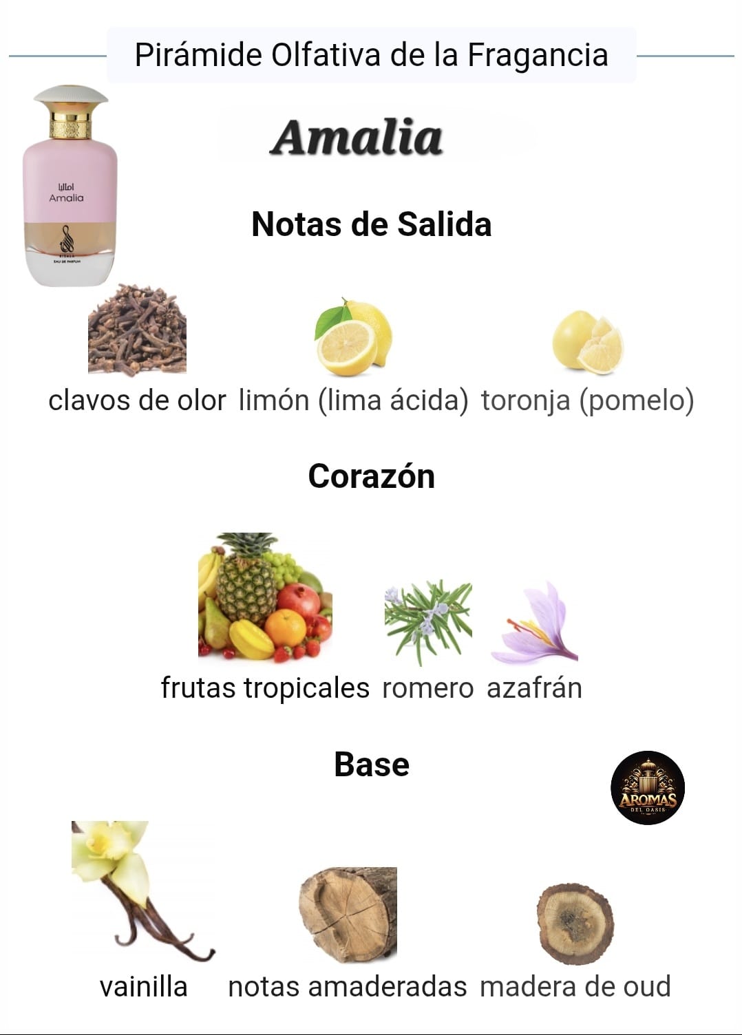 AMALIA - 100ML - Risala