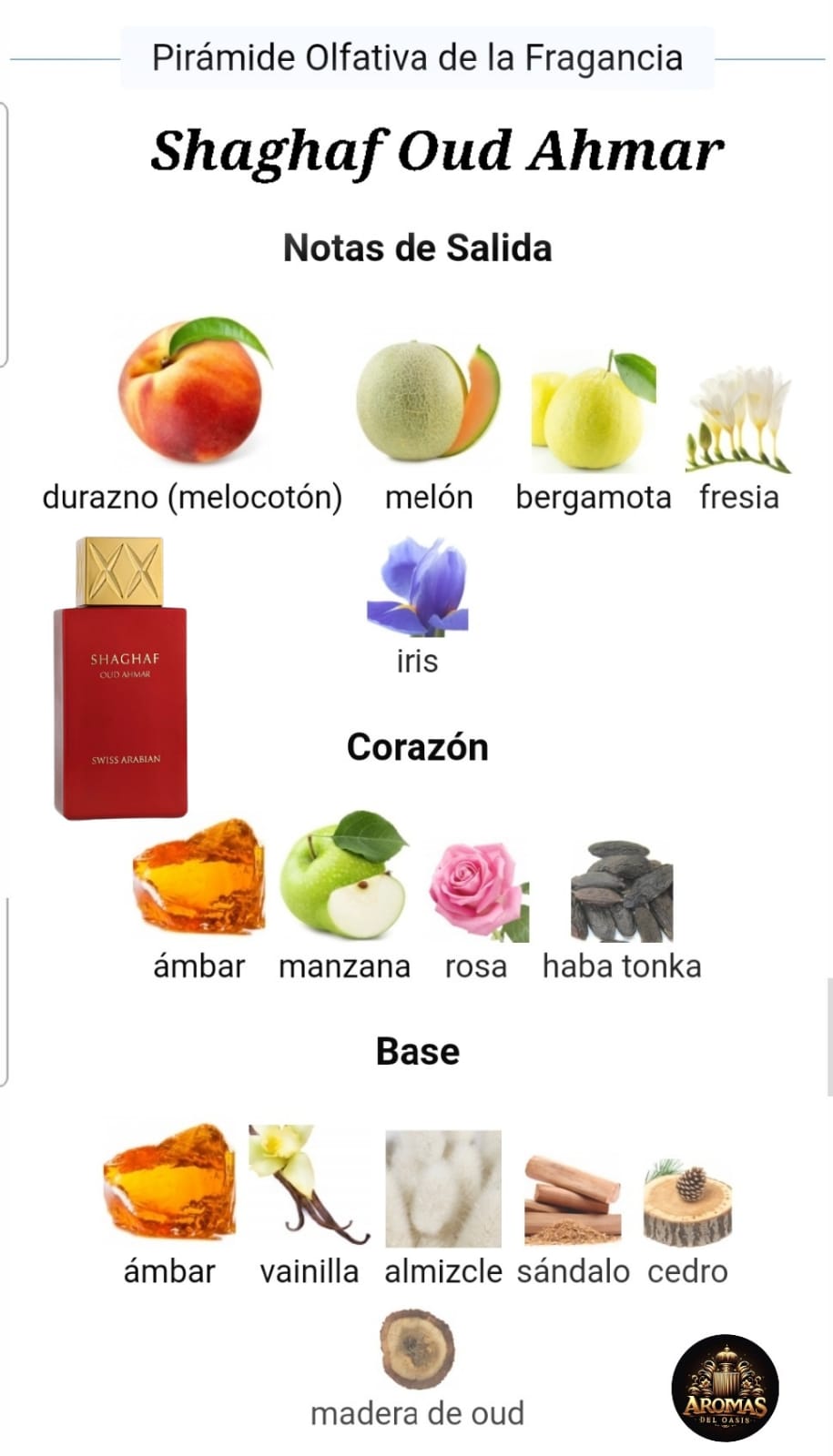 SHAGHAF OUD AHMAR - 100ML – Swiss Arabian