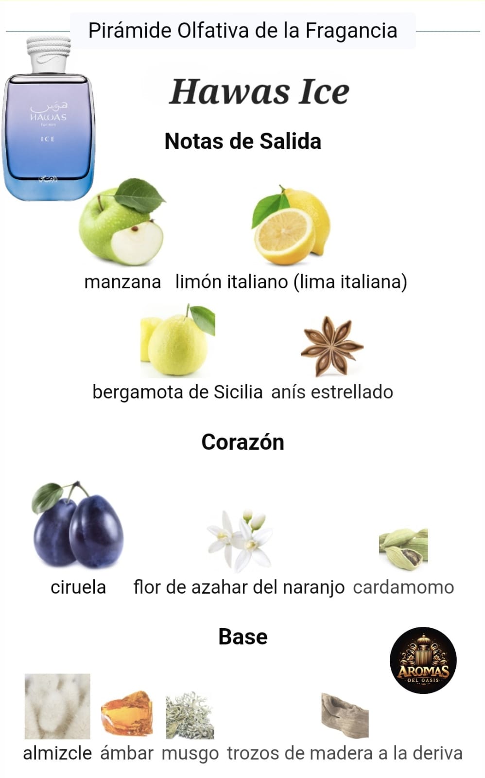 HAWAS ICE - RASASI - 100ML - RASASI