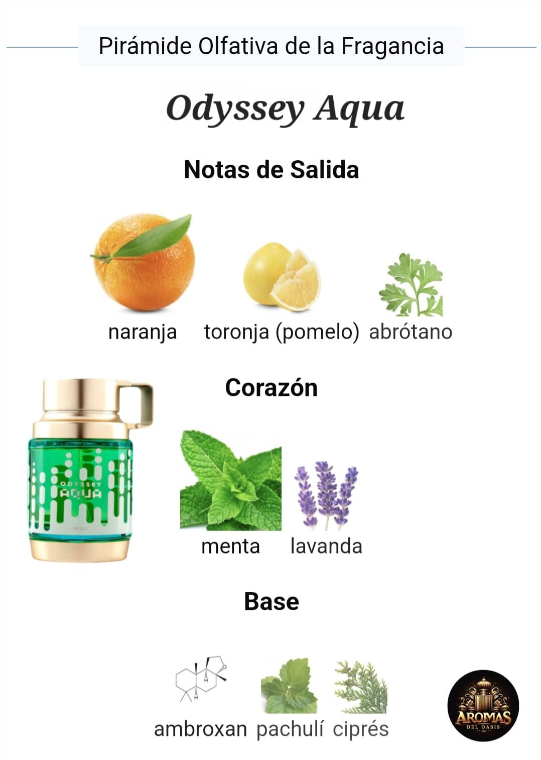 ODYSSEY AQUA EDITION - 100ML - Armaf