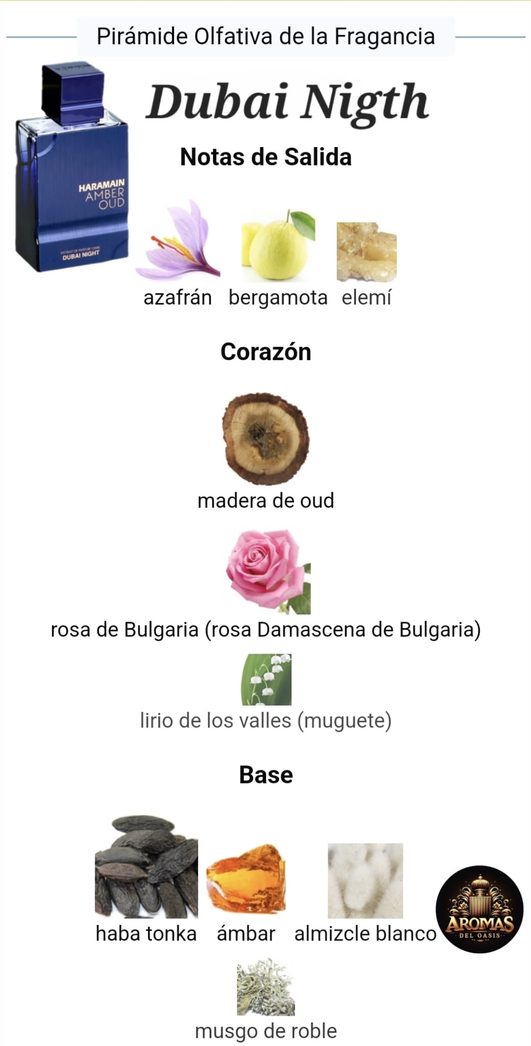 AL HARAMAIN AMBER OUD DUBAI NIGHT - 100ML - Perfume Alta Gama