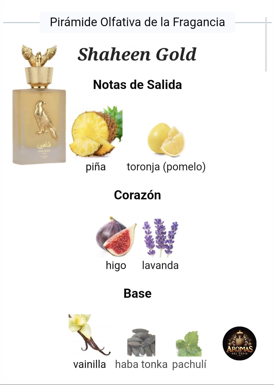 SHAHEEN GOLD - 100ML - Lattafa