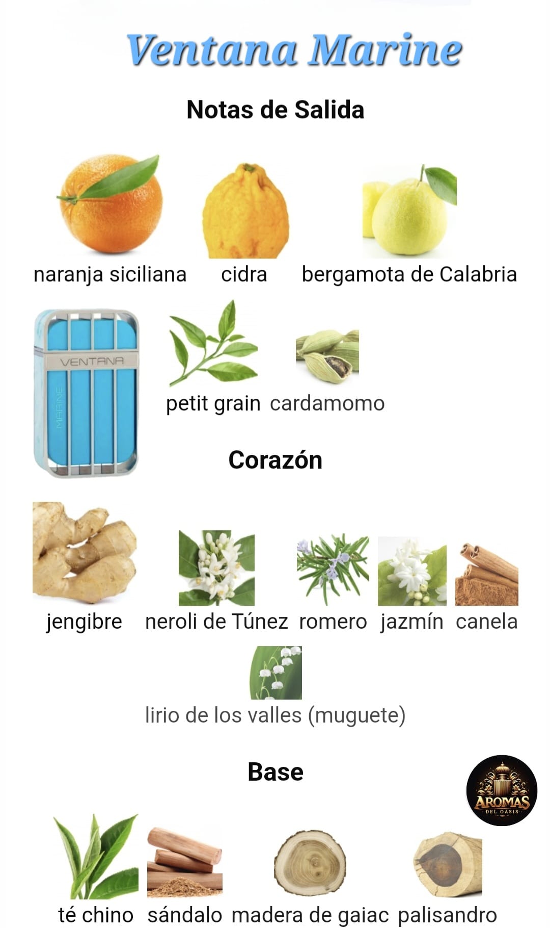 VENTANA MARINE - 100ML - Armaf