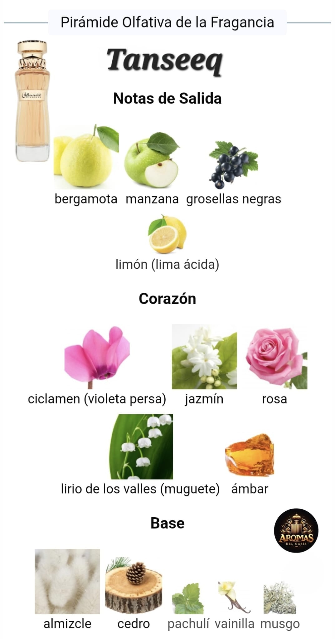 TANSEEQ - 100ML - Athoor Al ALam