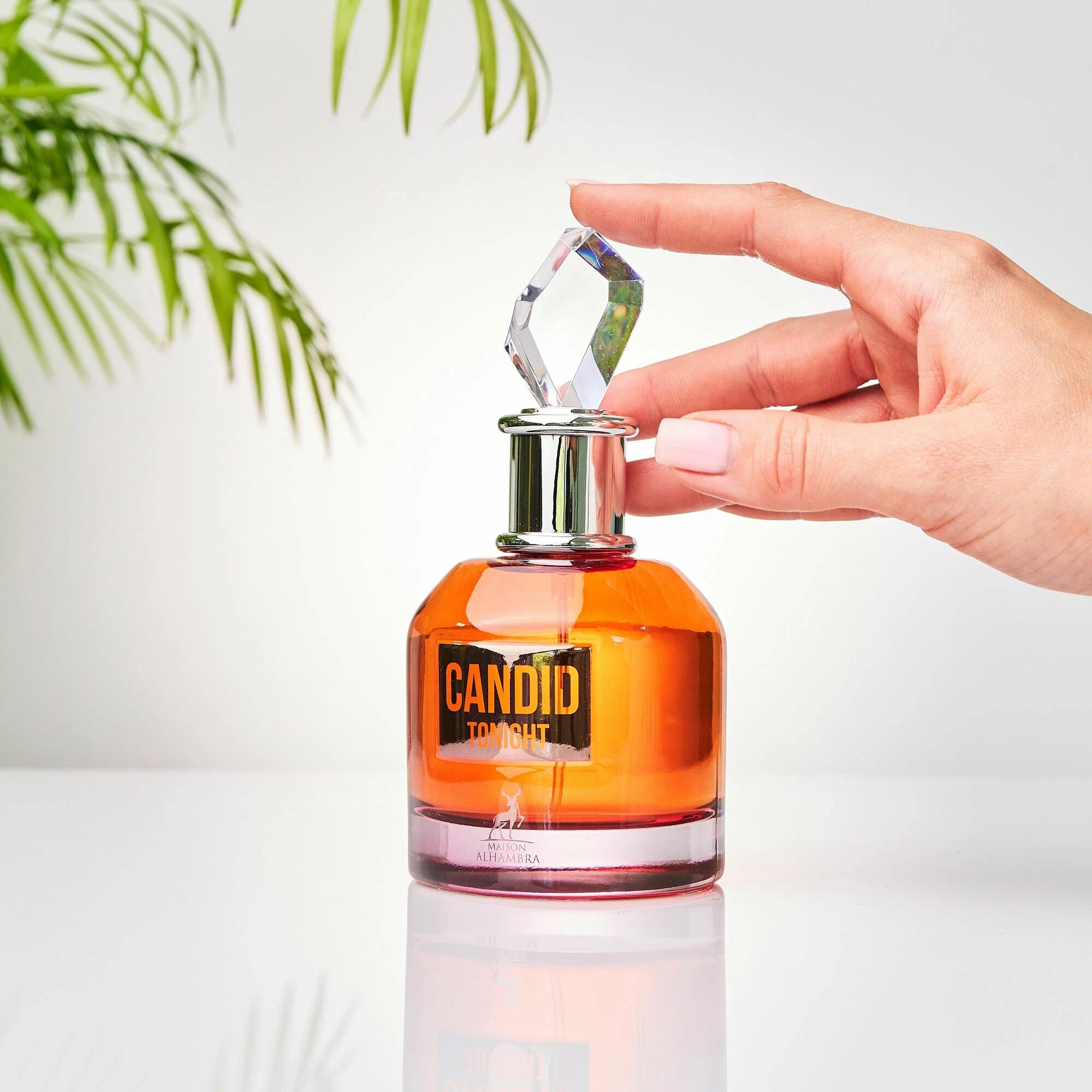CANDID - 100ML - MAISON ALHAMBRA