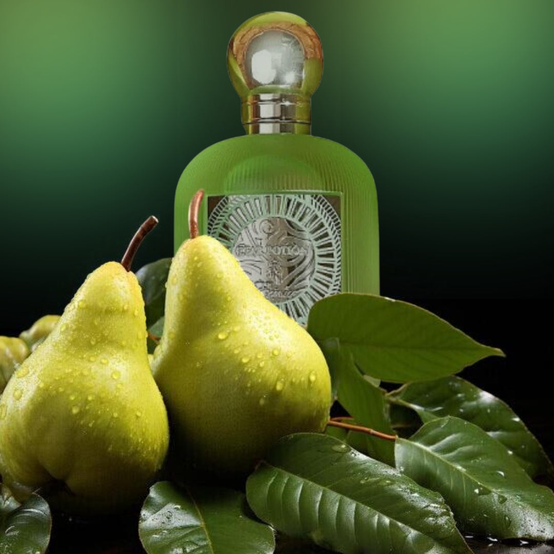 PEAR POTION - 100ml - Paris Corner