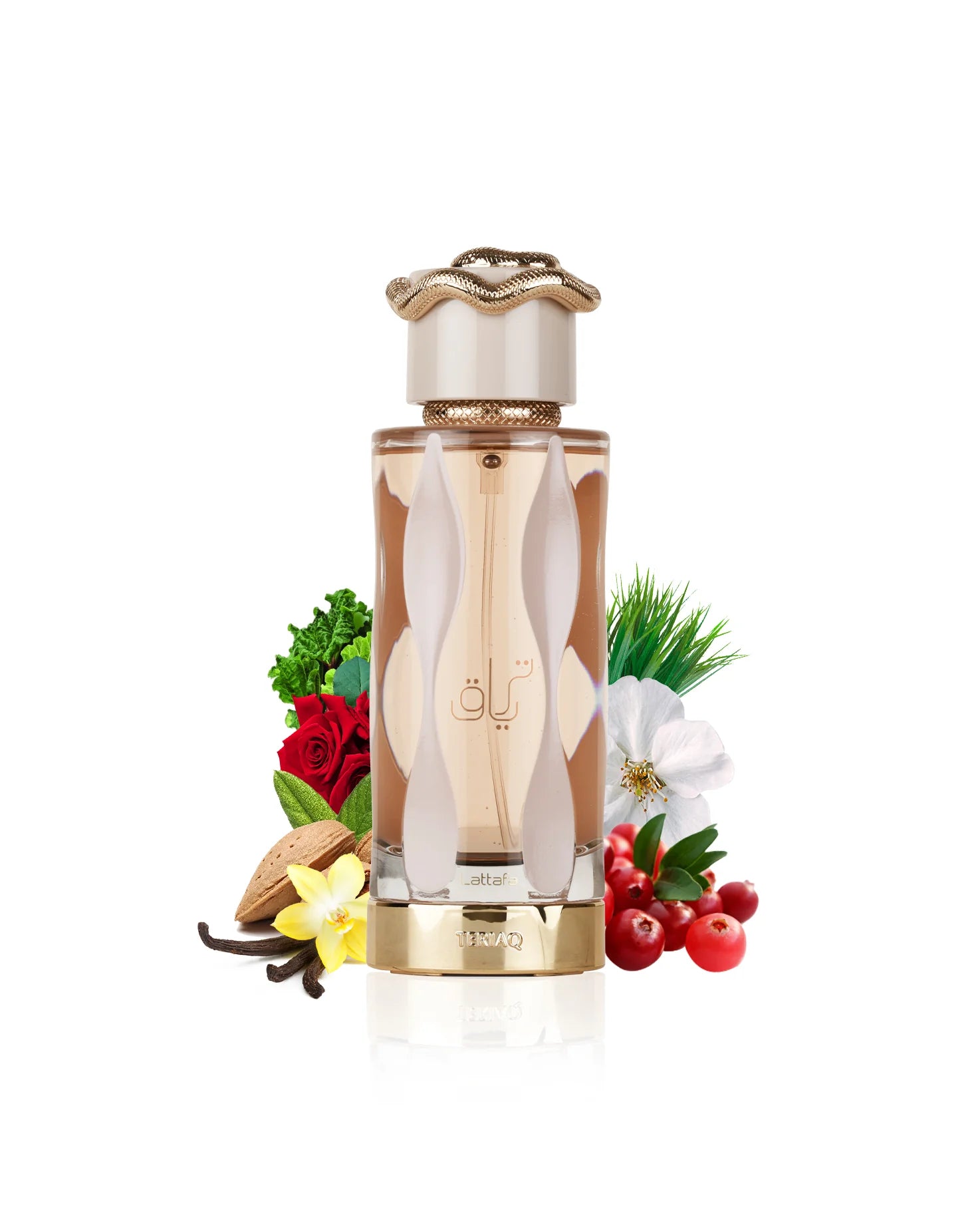 TERIAQ - 100ML - Lattafa