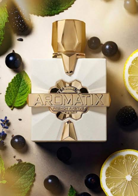 AROMATIX PLATINE BLANC - 100ML - French Avenue