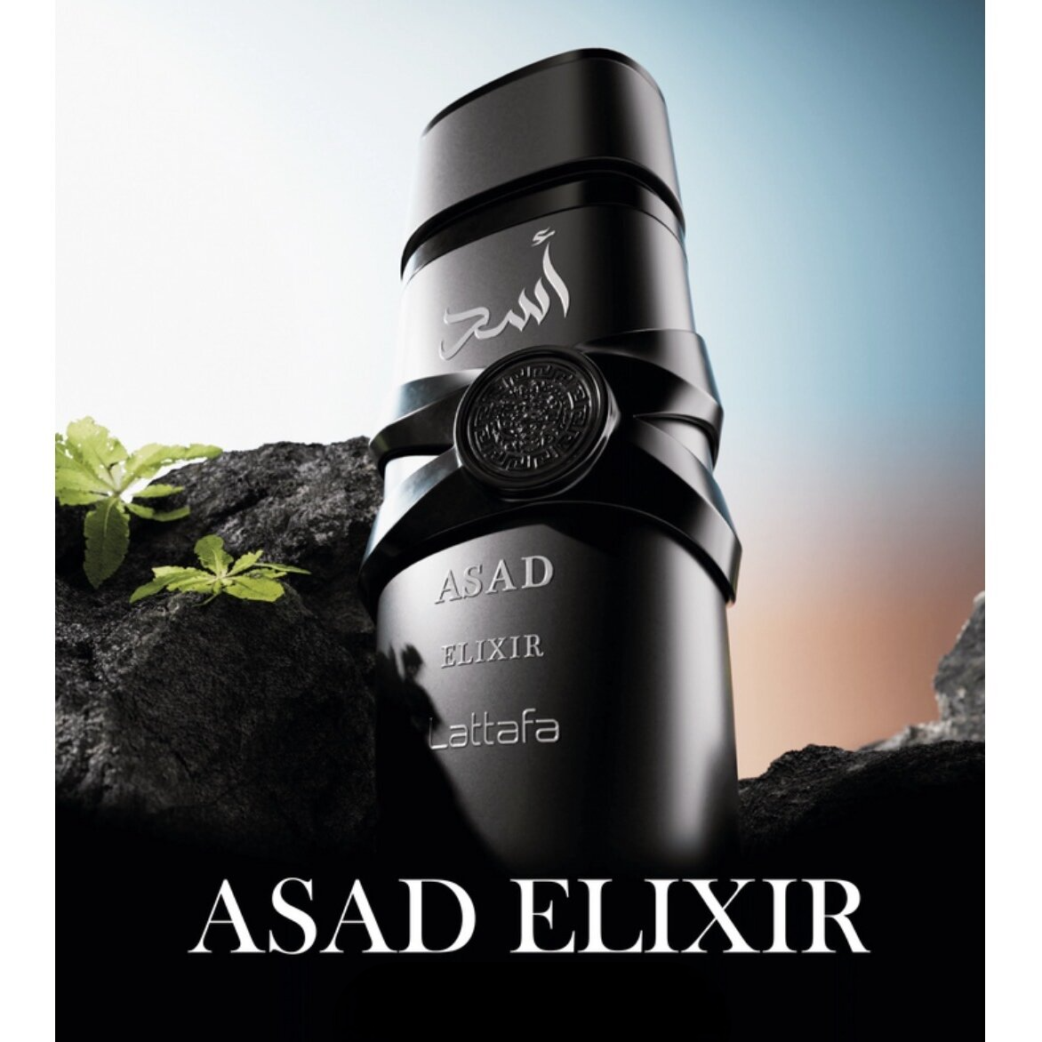 ASAD ELIXIR - 100ml – LATTAFA
