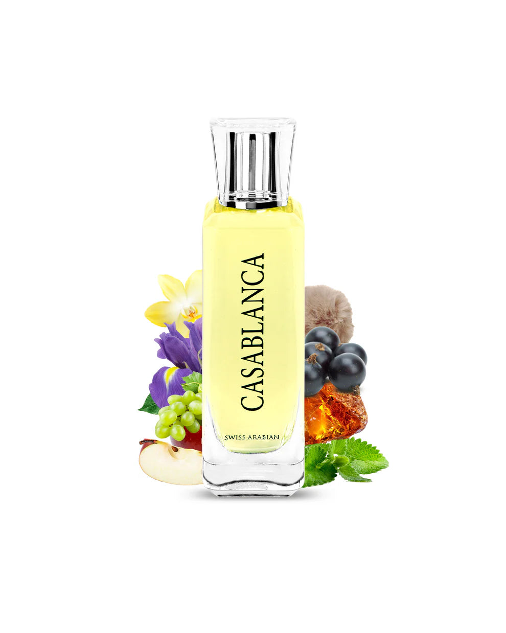 CASABLANCA - 100ML - Suisse Arabian